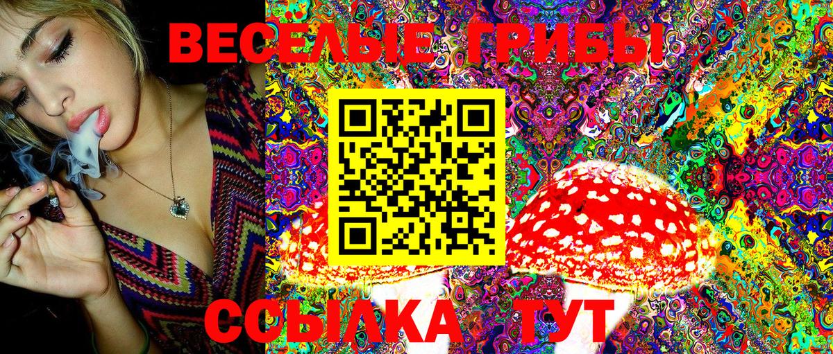 Псилоцибиновые грибы Cubensis  Галлюциногенные грибы GOLDEN TEACHER  Вход с VPN  Феодосия 